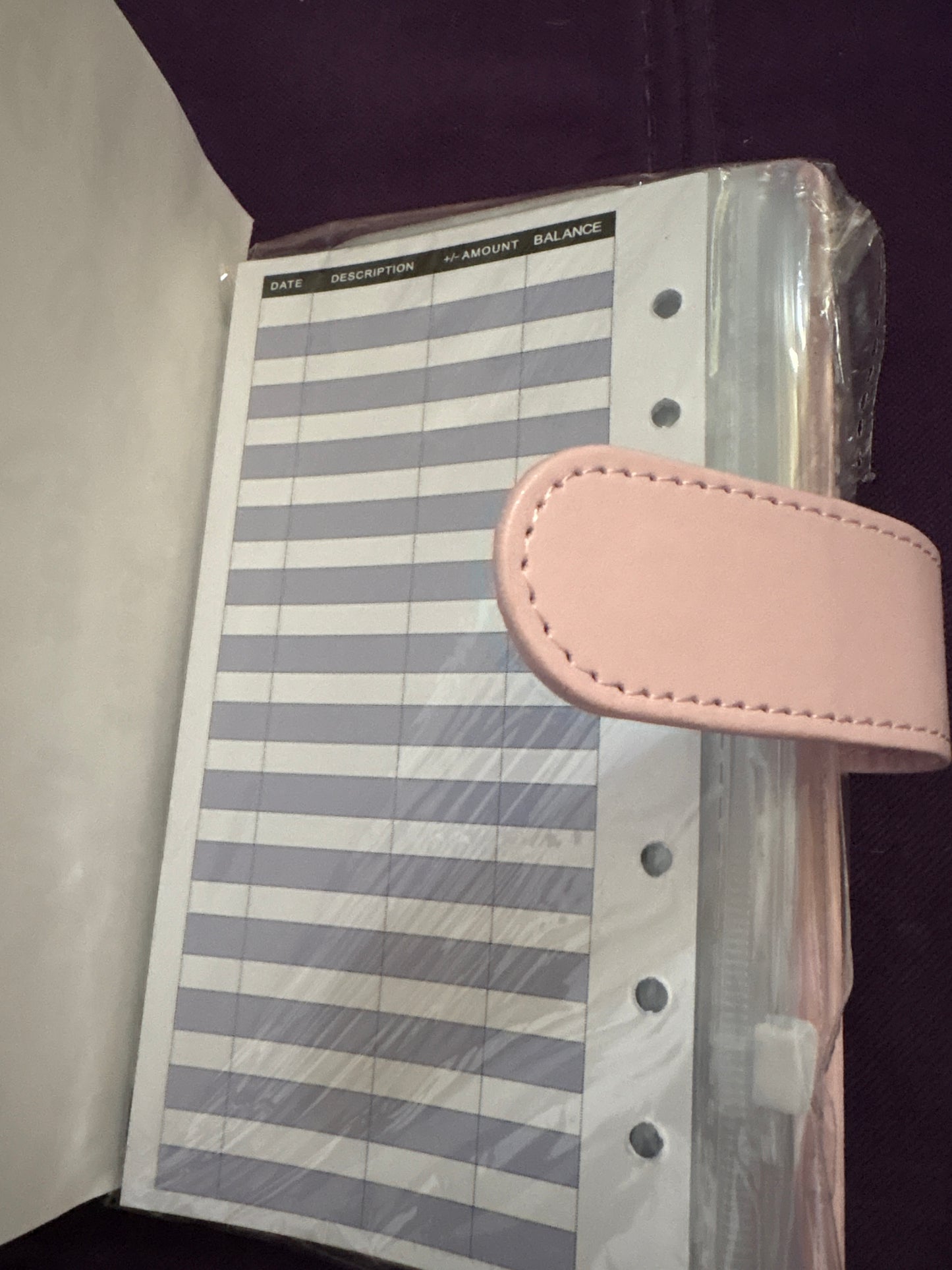 Budget binder